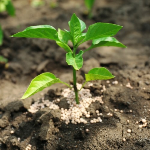 Productes fitosanitaris Agro-Esteve, adobs i correctors simples per les teves finques.