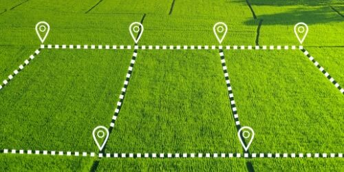 Servicio Agro-Esteve, seguimiento de parcelas vía satélite a través de un programa agrícola.